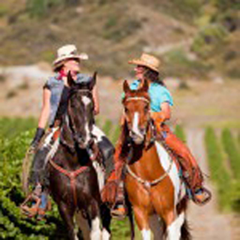 Juanita Koth (left), owner of Gaits in the Grapes, and Silver Stapleton, ride among the vineyards in Temecula’s Wine Country. Gaits in the Grapes offers horse owners customized, guided trail rides on many of the unmarked trails throughout Temecula Valley and the surrounding mountains. Riders can begin and end their adventures at any of five wineries. At the end of the trail, riders can enjoy lunch and wine-tasting while guides care for the horses. (Courtesy photo)