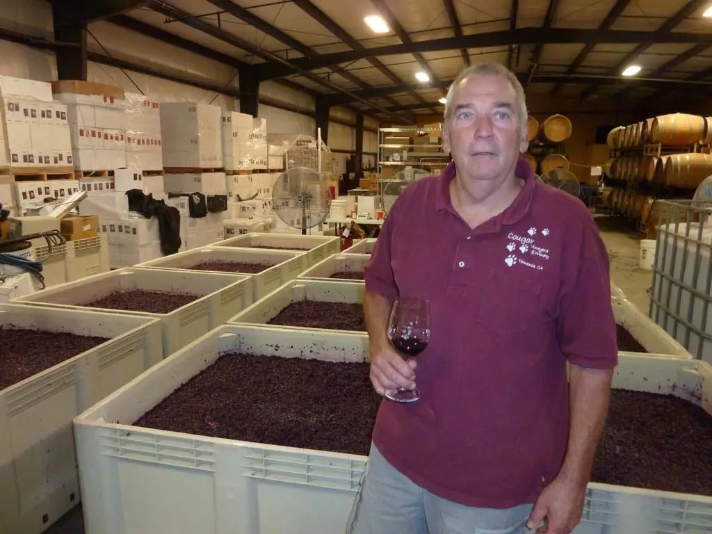 Rick Buffington has produced 100 percent Italian varietals at his Cougar Vineyard and Winery in Temecula Wine Country. Photo by Frank Mangio