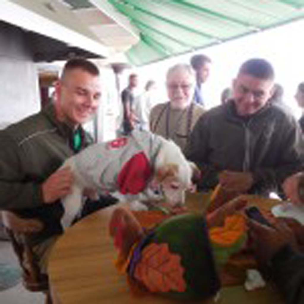 Marines from Camp Pendleton enjoy a Thanksgiving dinner courtesy of the Oceanside Yacht Club, along with lots of fuzz therapy from pups from the Rancho Coastal Humane Society. Courtesy photos