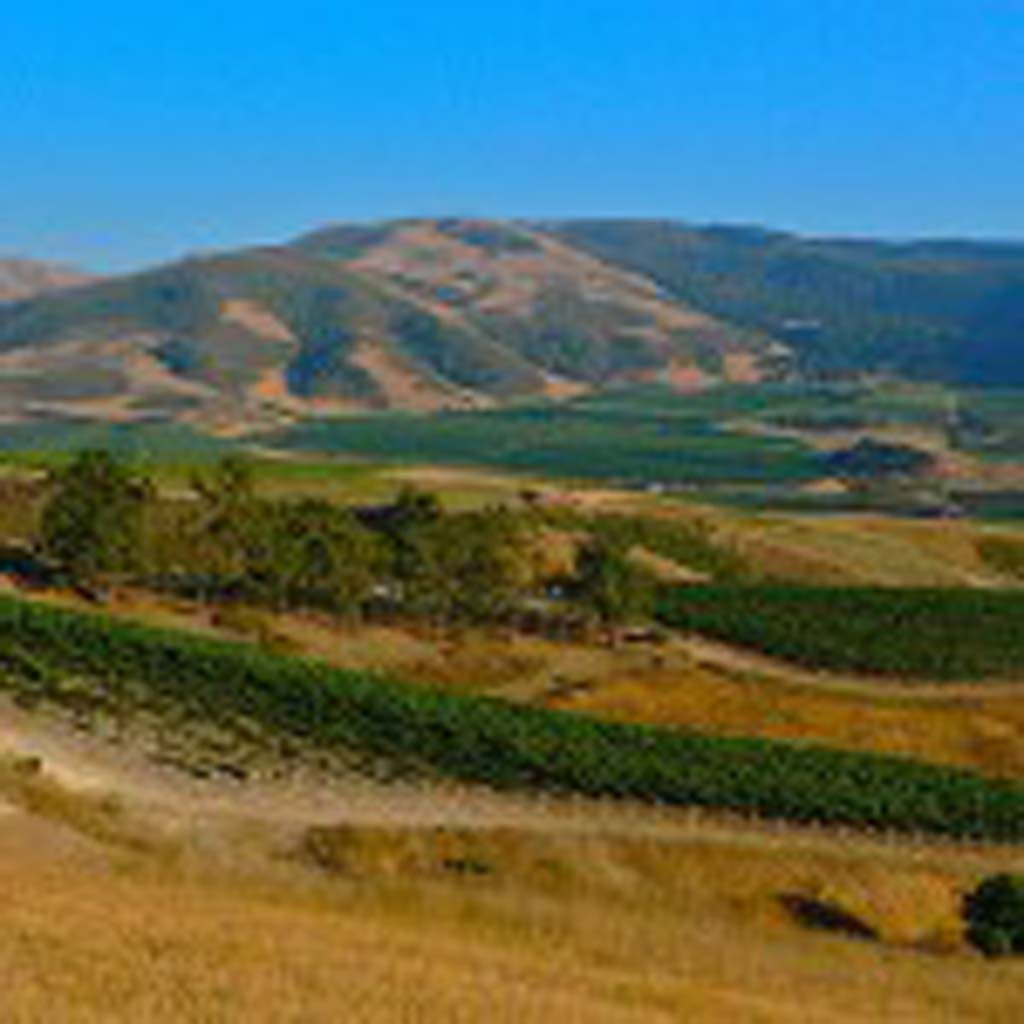 The Pacific Ocean’s cooling influence helps Central Coastal California’s Sta. Rita Hills produce some of the best Chardonnay and Pinot Noir in the state. Photo courtesy of Sta. Rita Hills Wine Growers Alliance