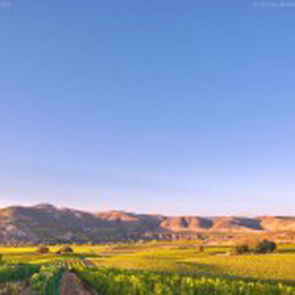 The Pacific Ocean’s cooling influence helps Central Coastal California’s Sta. Rita Hills produce some of the best Chardonnay and Pinot Noir in the state. Photo courtesy of Sta. Rita Hills Wine Growers Alliance