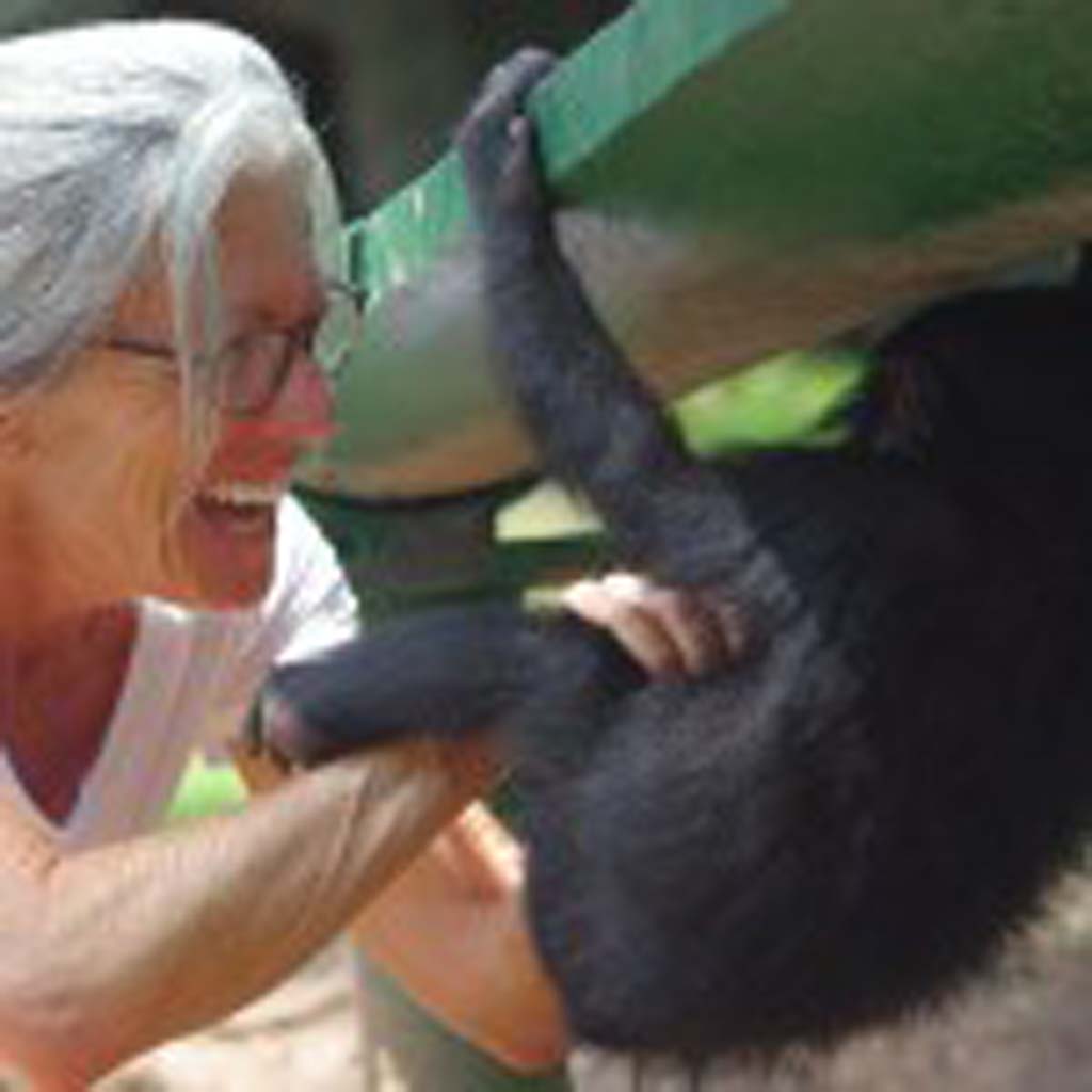 Debbie Sandler, a Solana Beach resident, has been giving talks at local libraries about her time and studies with bonobos, the fourth great ape. Photo courtesy of Debbie Sandler