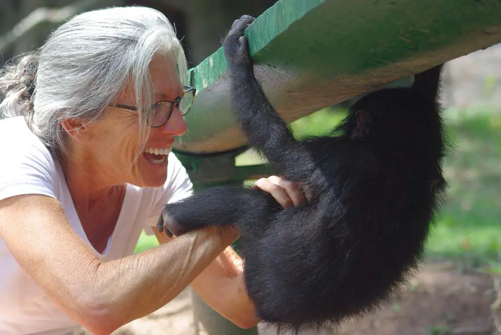 Debbie Sandler, a Solana Beach resident, has been giving talks at local libraries about her time and studies with bonobos, the fourth great ape. Photo courtesy of Debbie Sandler