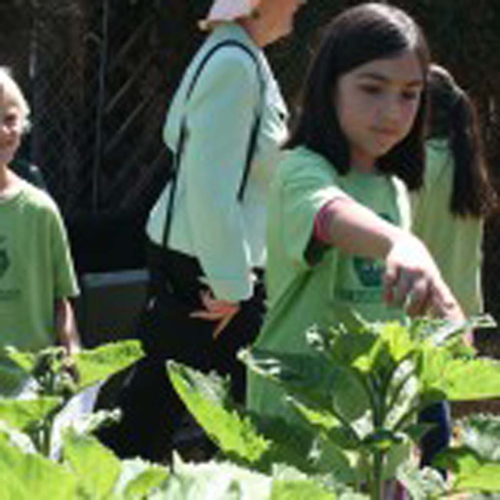 Palmquist Elementary student Delia Alcaraz spots a helpful insect. The school garden includes composting bins, and solar powered aquaponics to clean water. Photo by Promise Yee