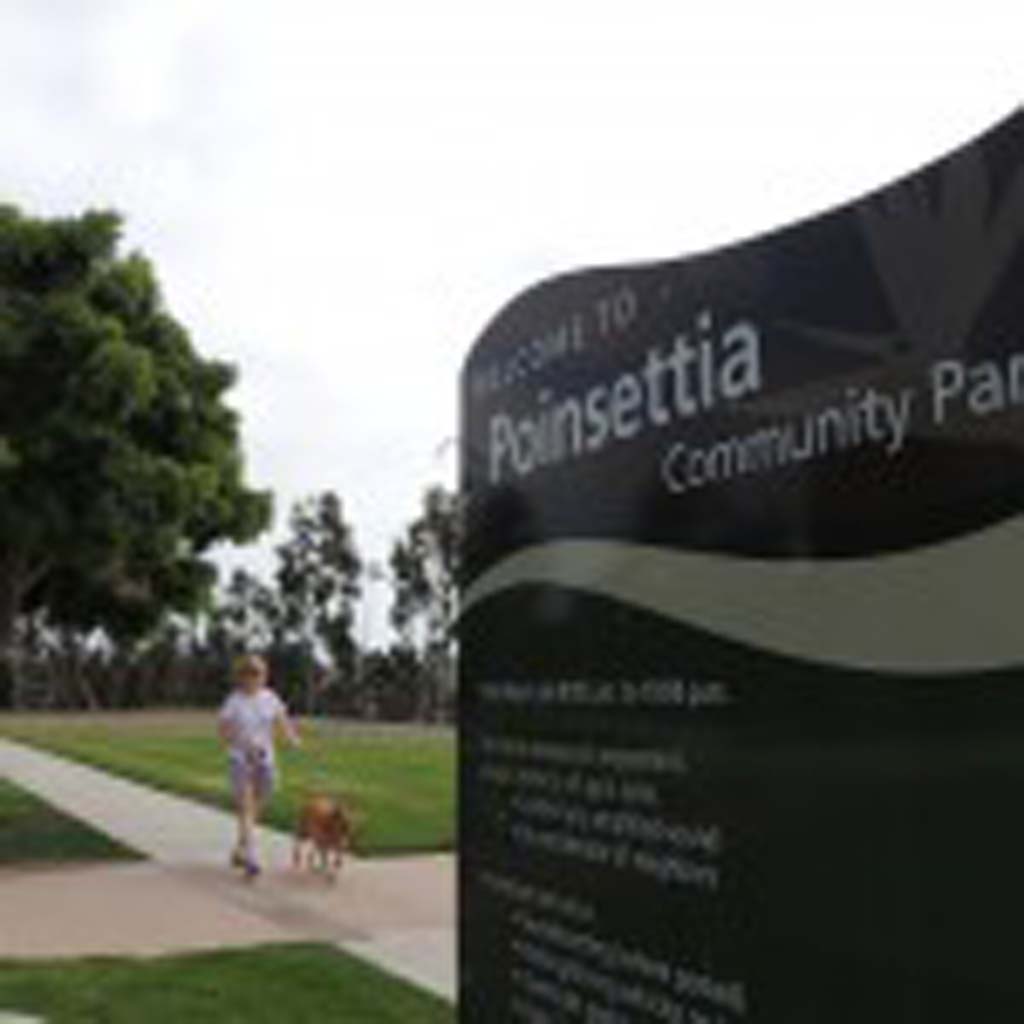 Some residents in Carlsbad are calling for a dog park to be established in the city’s Poinsettia Community Park. Photo by Rachel Stine
