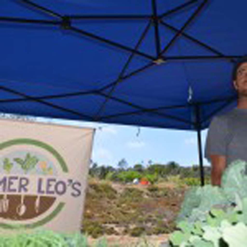 Ryan Goldsmith, a former chef, turned away from cooking to become a farmer. He’s opened Farmer Leo’s, a roadside certified organic farm stand in Encinitas last week. Photo by Tony Cagala