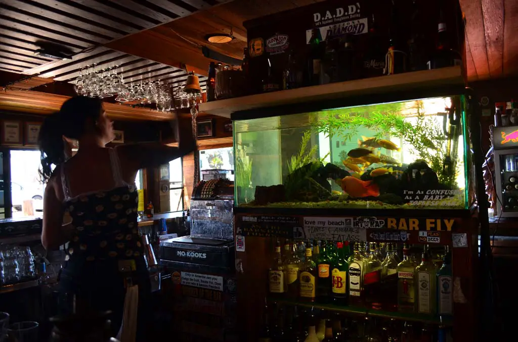 Kat Ron tends bar at the Kraken in Encinitas on a Wednesday afternoon. The bar’s founder Doug Aldred sold the well known establishment after 38 years with plans on retiring. The bar will remain open under new owner David Crilley. Photo by Tony Cagala
