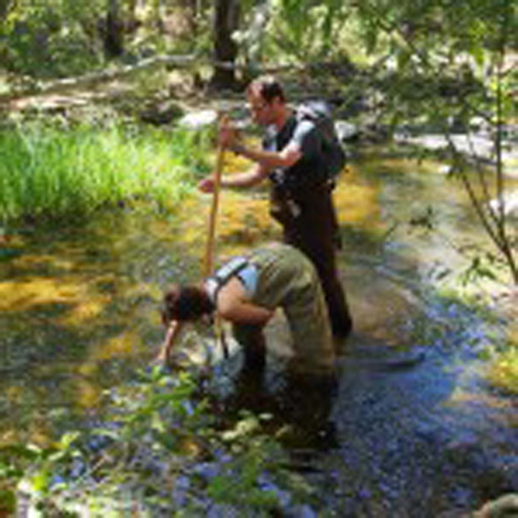 Escondido Creek serves as one of the sites where researchers and trained volunteers collected bugs to help tell a new story on the health of watersheds. Photo courtesy of San Diego Coastkeeper