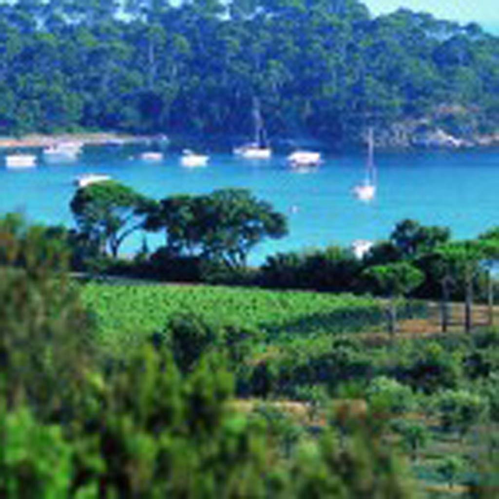 Rose’ wines are produced along the south coast of France from Bordeaux to Nice. Photo courtesy Wines of Provence