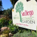 The San Diego Botanic Garden may receive help from San Diego County to create planned pavilion. File photo
