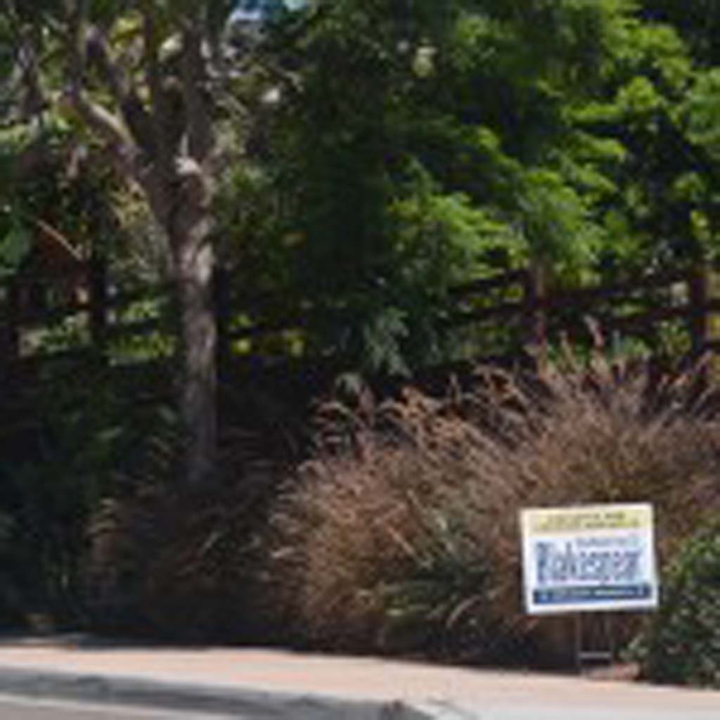 An Encinitas City Council candidate's campaign sign is causing some confusion over city's sign policy. Photo by Tony Cagala