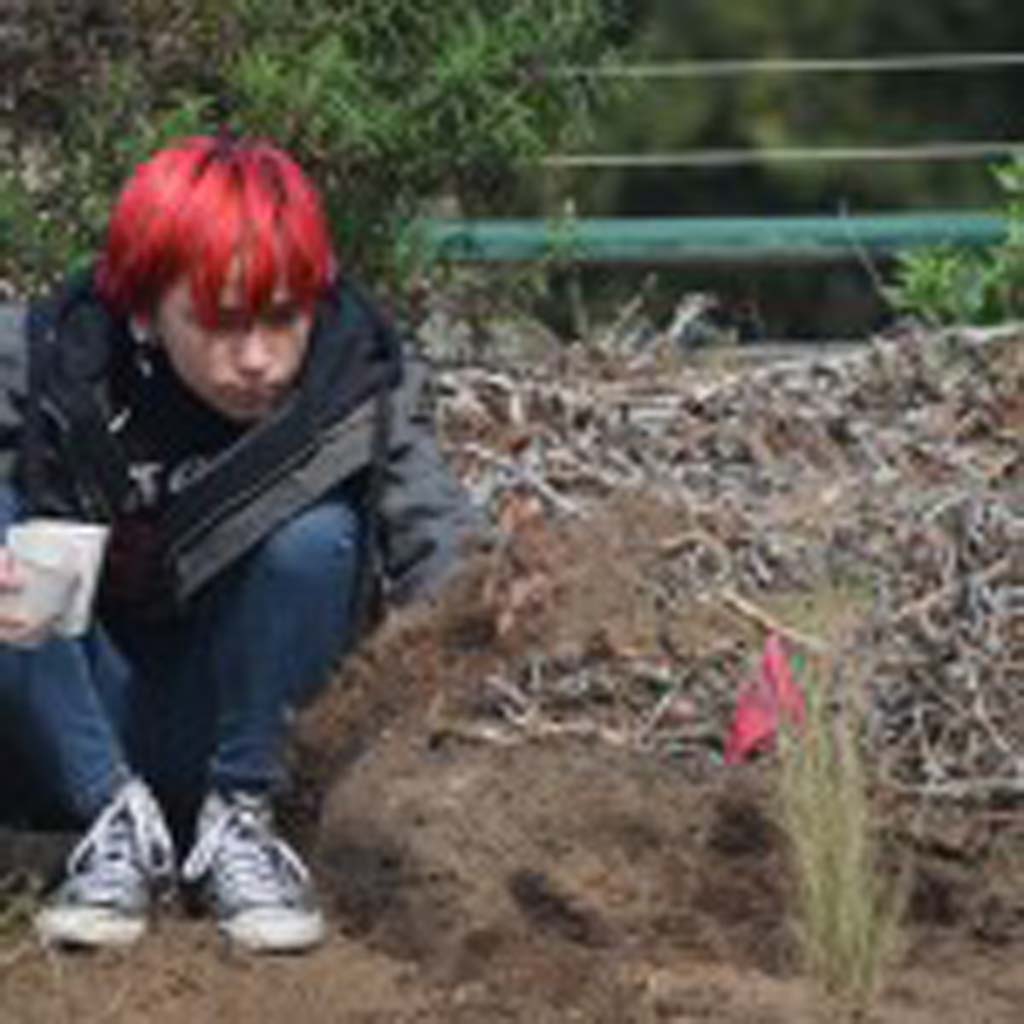 San Dieguito Academy student Veronica Ness drops some native seeds at Cottonwood Creek. Photo by Tony Cagala