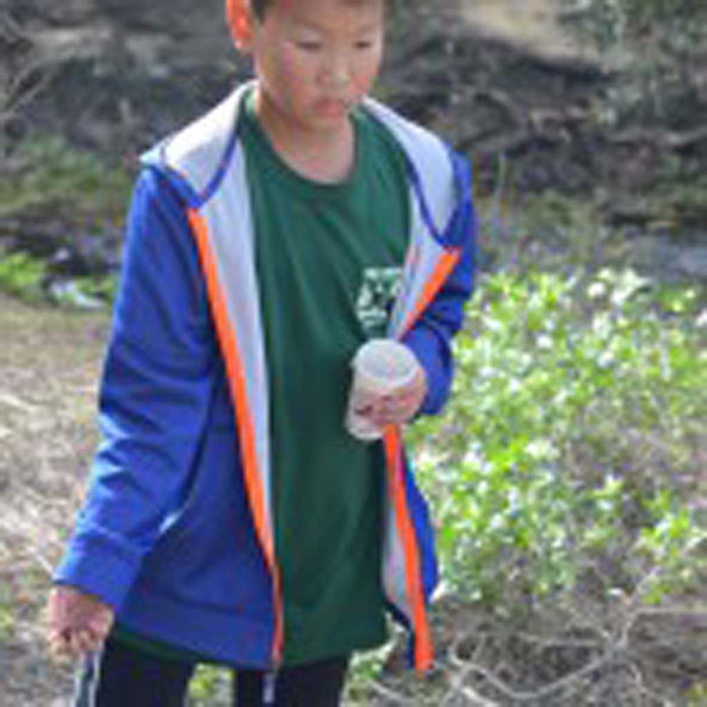Andy Uyu of Boy Scout Troop 777 is one of the volunteers to help plant native shrubs and broadcast native seeds at Cottonwood Creek on Saturday. Photo by Tony Cagala