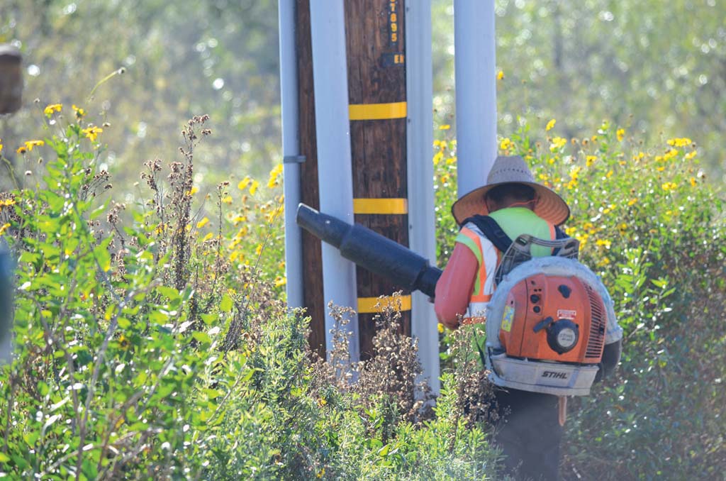 The Encinitas Environmental Commission will revisit a possible ban on the use of gas-powered leaf blowers in the city. Photo by Tony Cagala