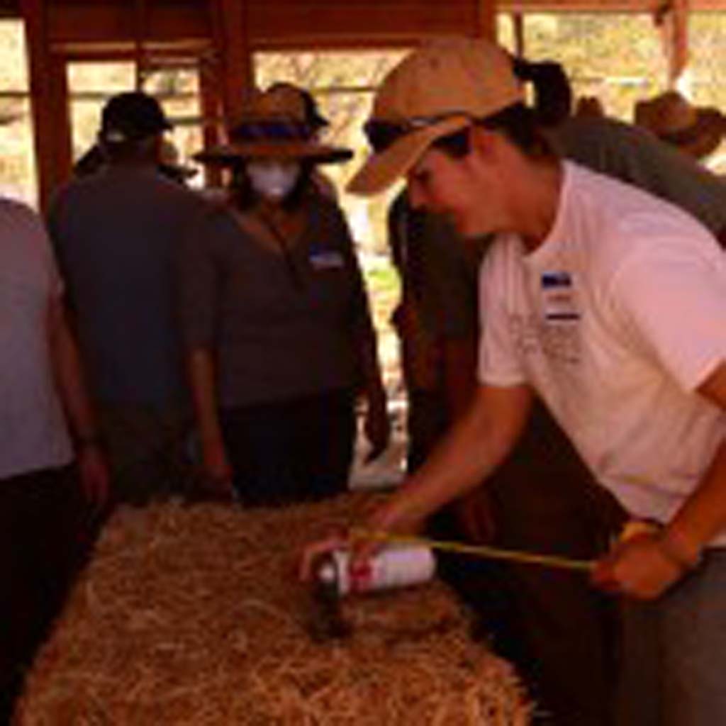 Rebecca Tasker, right, co-owner of Simple Construct, working with dozens of volunteers, makes some measurements on a straw bale. Photo by Tony Cagala