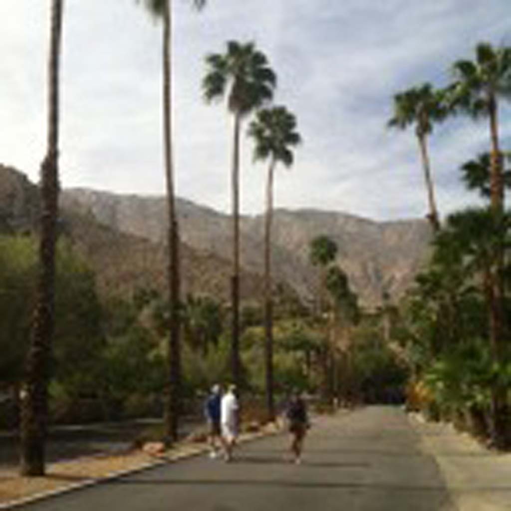 West Chino Drive in the Old Las Palmas neighborhood in Palm Springs is a favorite of walkers. The house on the hill at the end of the street was built in the 1980s for country-western singer Kenny Rogers, and was later owned by Barbra Streisand. (E’Louise Ondash)