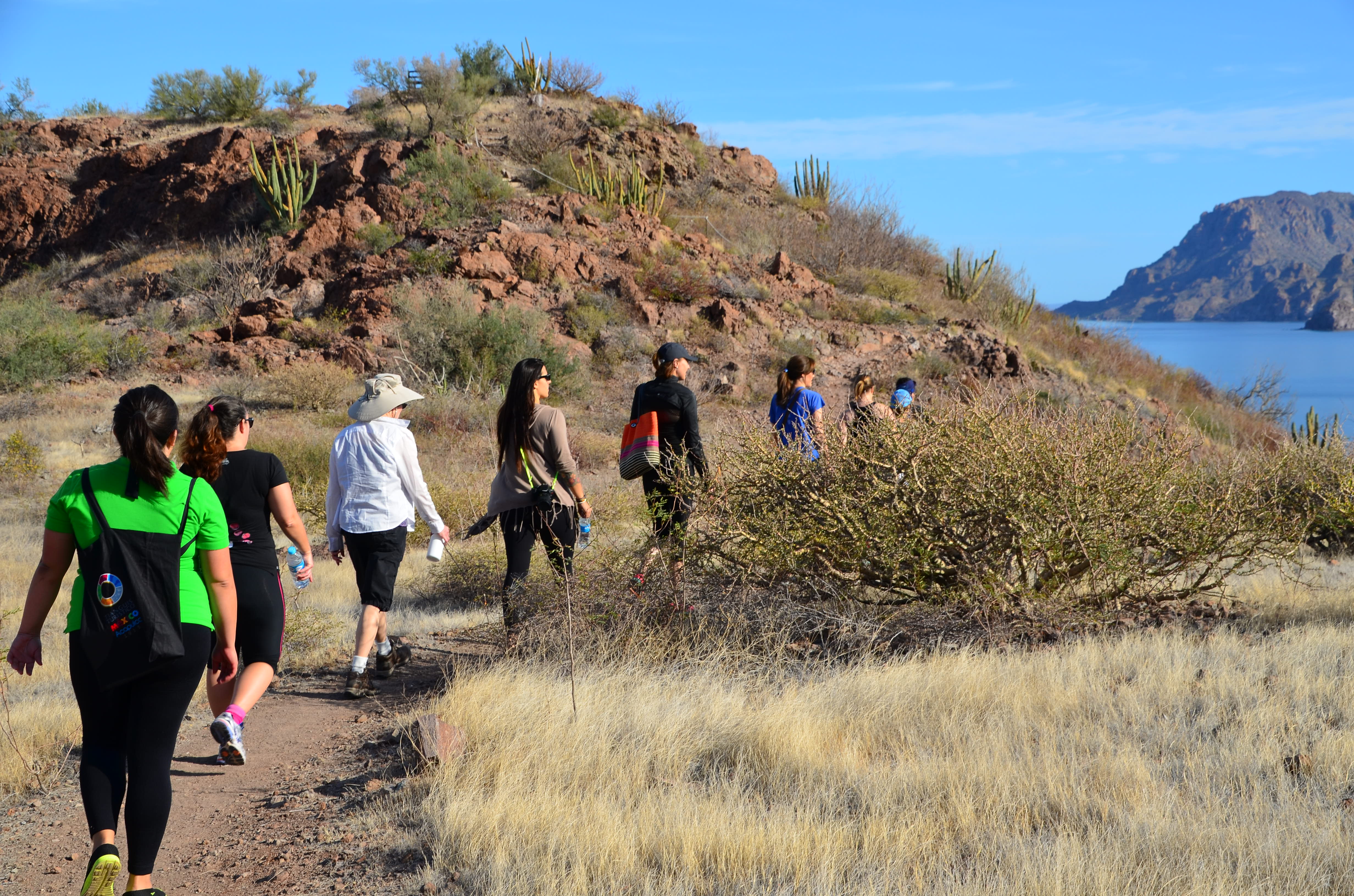 Morning hikes at the Villa del Palmar Resort and Spa take guests up into the hills on well marked trails for a bird’s eye view of the ocean, bay and hotel. Desert plants are marked, and Google Earth trail markers show hikers exactly where they are. Photos by Jerry Ondash