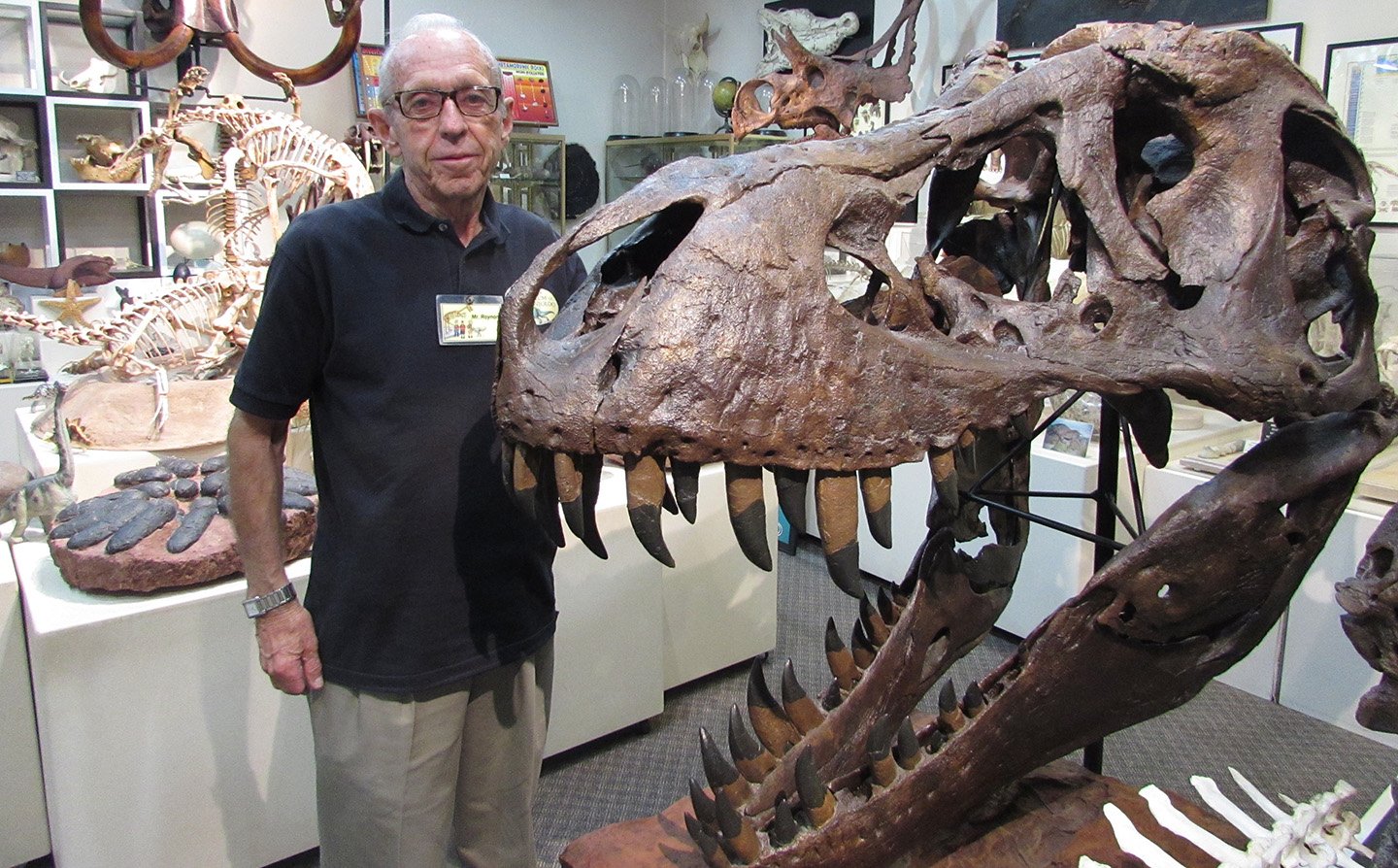 It has taken Keith Roynon 70 years to amass his collection of fossils and dinosaur skeletons. His museum in his home’s garage is in the process of moving to a bigger venue on East Grand Avenue. Photo by Ellen Wright