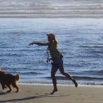 A dog about to chase after a toy that was just thrown by the dogs owner. Photo by Melissa Doroquez courtesy of WikiMedia