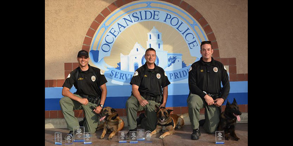 Oceanside Police Officers and their K-9 partners from left: Officer Smith and K-9 Nero, Officer Hay and K-9 Gonzo and Officer Wilson and K-9 Atlas compete in Bakersfield, Calif. in June. The Oceanside Elks Club donated two bulletproof vests for the K-9s last month. Photo courtesy Oceanside Police Department