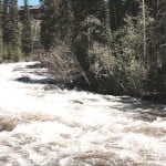 nusual rains in May and June this year mean that streams like this one in Rocky Mountain National Park, which feed the source of the Colorado River, are running high. This is good news for Southern California, which gets some of its water from the river. Photo by E’Louise Ondash