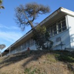 A coalition called the Encinitas Arts, Culture and Ecology Alliance submits a plan on operations of the Pacific View site. File photo