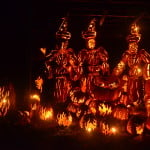 Three witches, constructed of hand-carved pumpkins, attend their caldron during the annual Great Jack O’Lantern Blaze at Croton-on-Hudson, N.Y. The Blaze is the premier autumn/Halloween event in the Hudson Valley and the Sleepy Hollow area, which takes advantage of its history to draw thousands of visitors during this time of year.