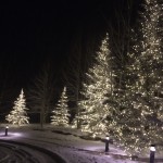 The mountain communities along Interstate 70 west of Denver leave the decorative tree lights on all winter. These are on the grounds of the Club at Cordillera, a golf resort near Edwards, Colo.