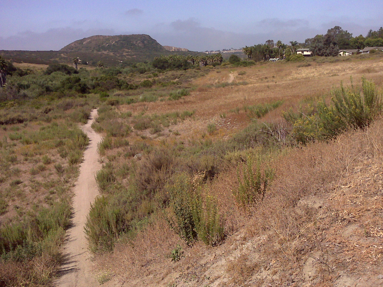 This trail in Calavera Preserve (110 acres) eventually takes hikers to the top of 513-feet-high Mount Calavera, seen in the background. The formation is not really a mountain but a 15- to 20-million-year-old volcanic plug. A dramatic cliff on one side, which can be seen from the trail, is the remnant of gravel mining in the early 1900s. The word Calavera is Spanish for "skull. Photos by E’Louise Ondash