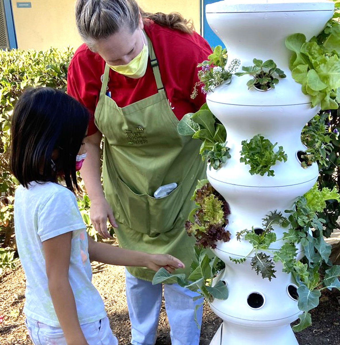 Casita Center teacher Samantha Hastings assists her Kitchen Lab students in choosing greens from a Tower Garden for a lunch salad at the Vista school.
