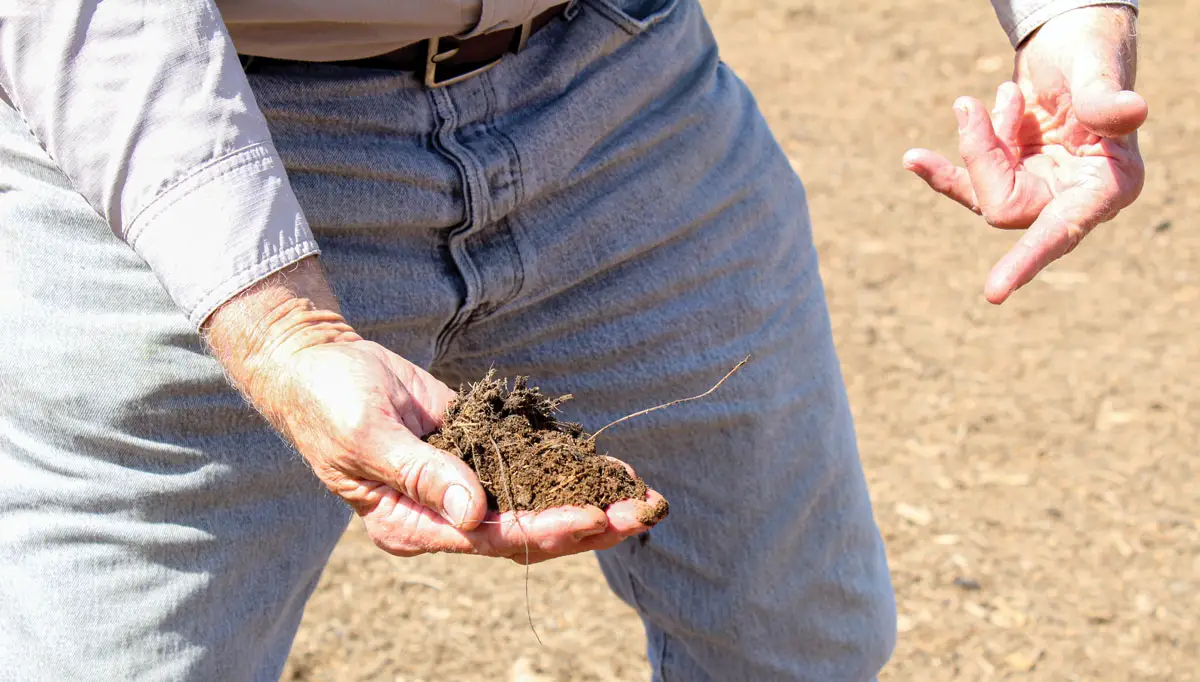 Cow manure helped create a unique composting business, San Pasqual Valley Soils, that has become an integral part of the survival of Konyn Dairy. 