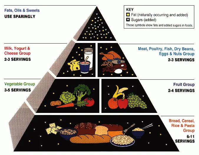 The 1992 USDA Food Pyramid that led the US to achieve the highest levels of obesity in the world.
