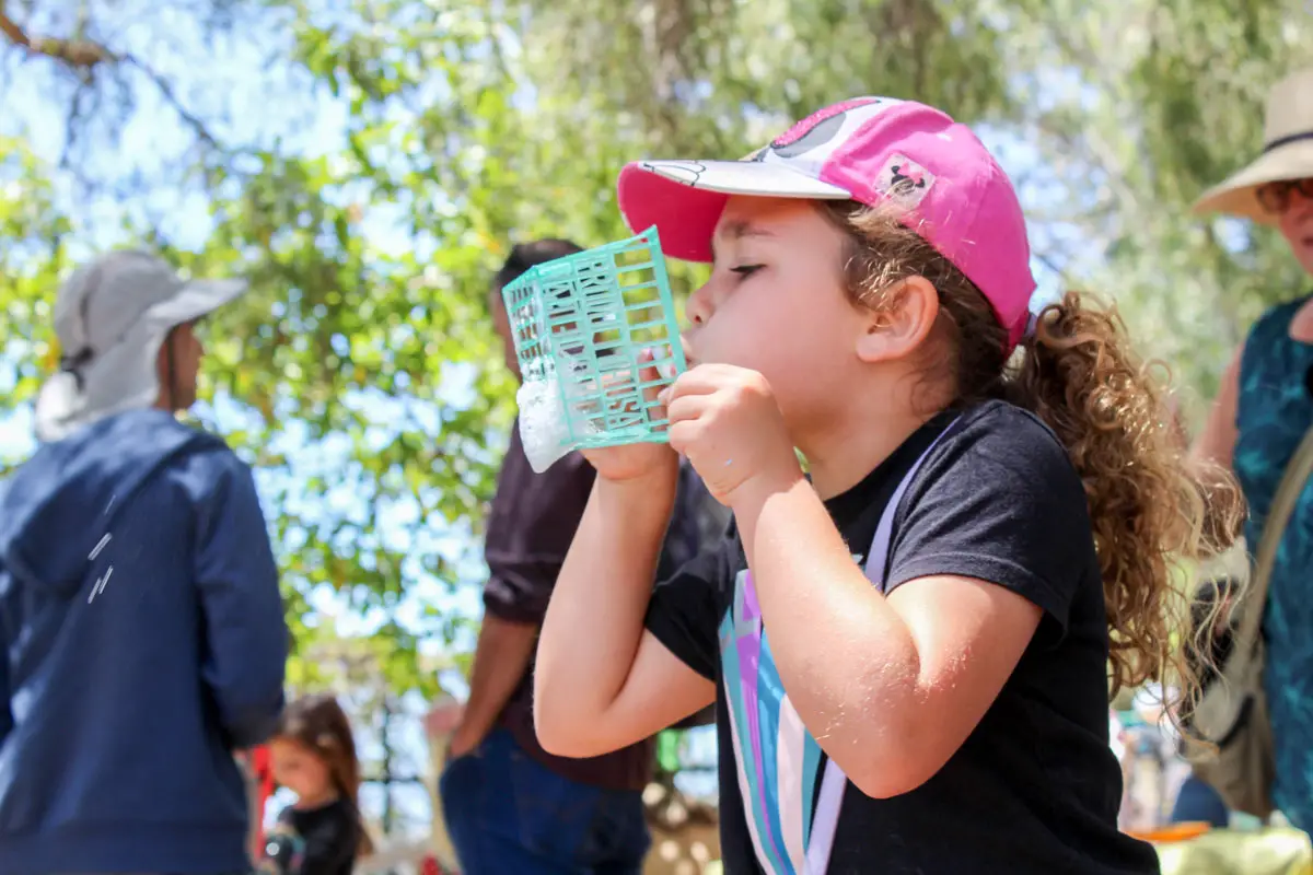 Avery Ruiz, 7, blows bubbles using recycles strawberry containers at Vista's Earth Day event on April 23 at Brengle Terrace Park.