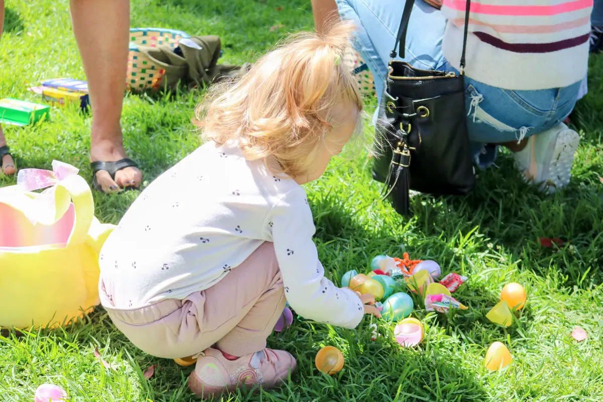 Hundreds of Solana Beach families with kids ages 9 and under took part in the highly-anticipated egg hunt on Saturday at La Colonia Community Park.  