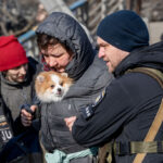 Ukrainian refugees are struggling to stay connected with their pets at the Mexico border crossing after fleeing their country from the Russian invasion in February.