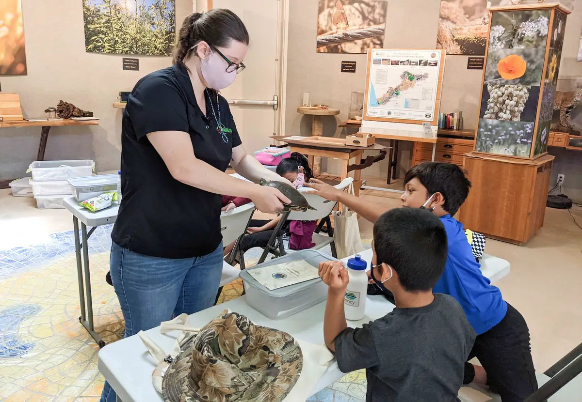 Campers get an up close look at a turtle during last year’s Escondido Creek Conservancy Summer Adventure Camp. The camp returns June 20 for kids ages 7-10. Courtesy photo