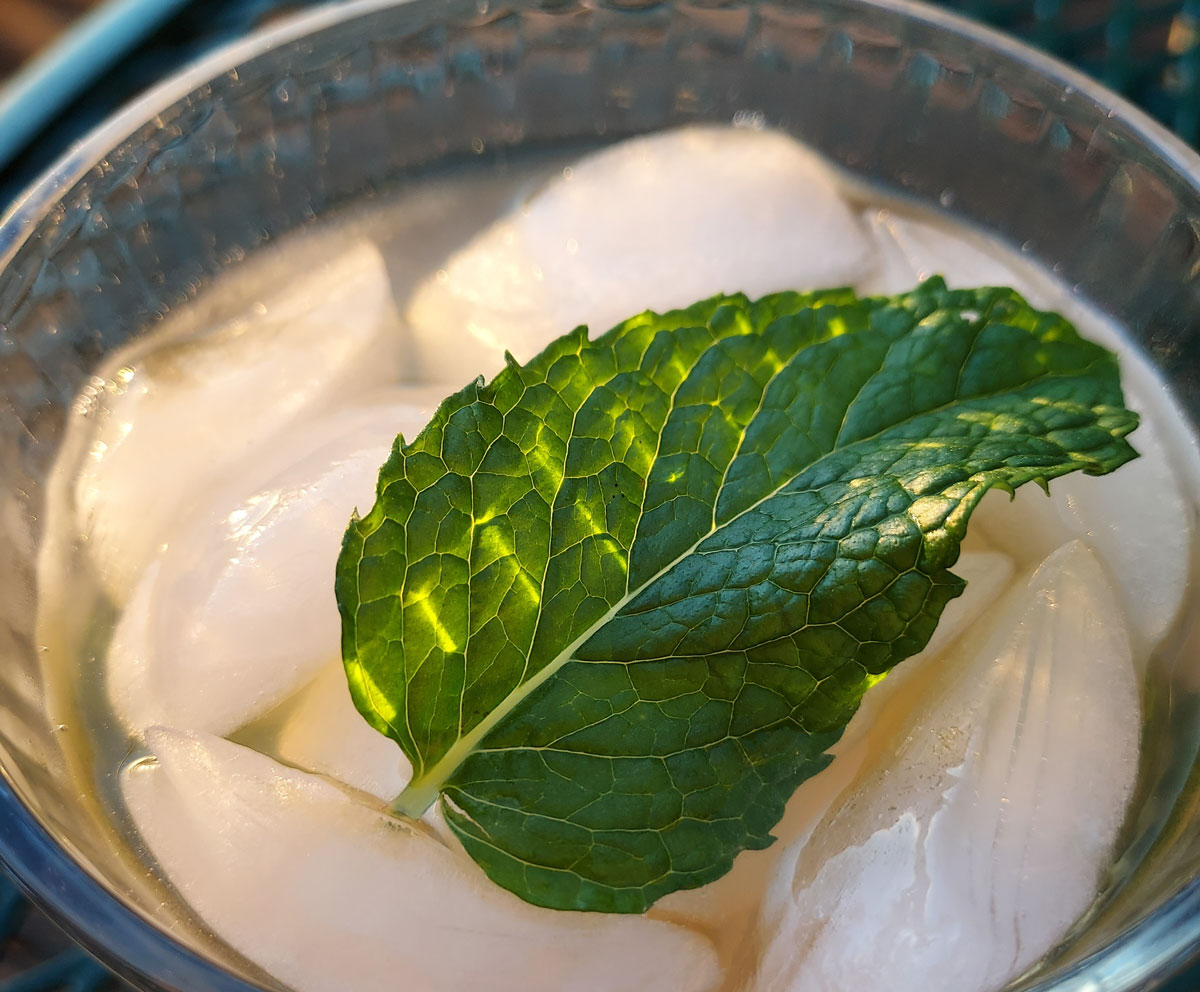 A whiskey lemonade with a few muddled mint leaves is the perfect summer cocktail. Photo by Ryan Woldt