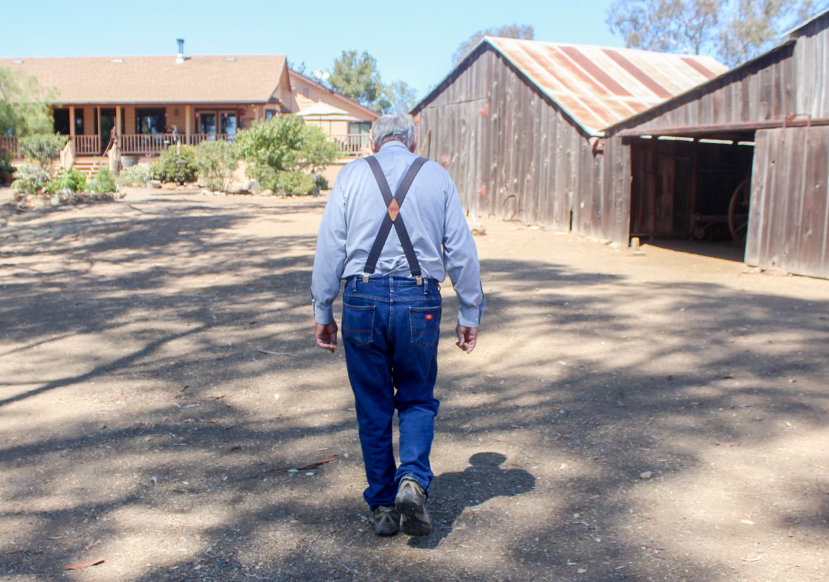 Richard Bumann takes the familiar stroll of the once 480-acre Bumann Ranch. He and his wife Adeline moved in the 1980s onto the remaining 10 acres of land that houses the century-old barns and home. Photo by Jacqueline Covey