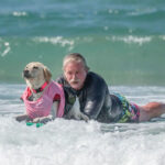 Dogs and owners compete in the 17th annual Surf Dog Surf-A-Thon at Del Mar Dog Beach on Sunday. The event benefits the Helen Woodward Animal Center. Photo courtesy of Erik Good