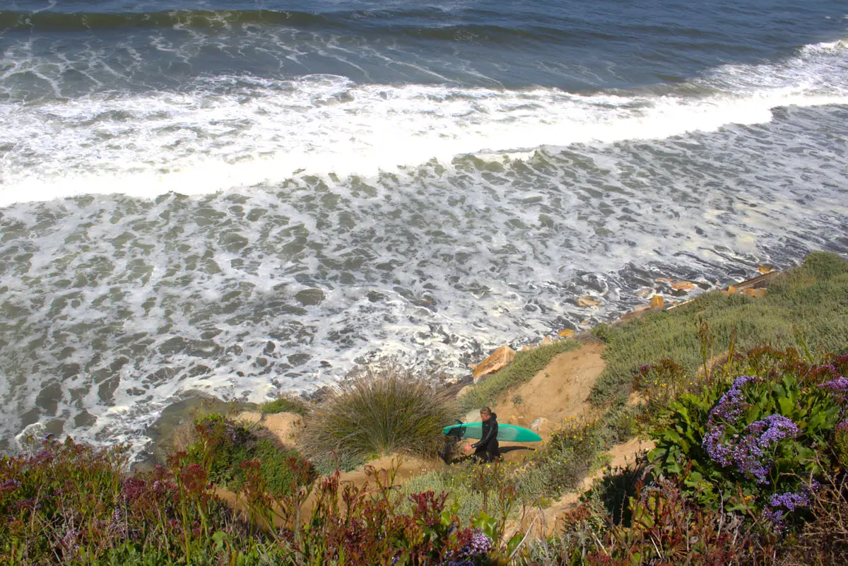 A surfer traverses up one of the “goat paths” etched into the side of the Del Mar bluffs from the beach near 7th Street. Photo by Laura Place