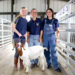 (From left) San Marcos High School junior Avery Strang, freshman Charlie Stone and junior Jaiden Slattum stand with goat Honey at the school district’s new Agriculture Farm on June 1. Photo by Laura Place