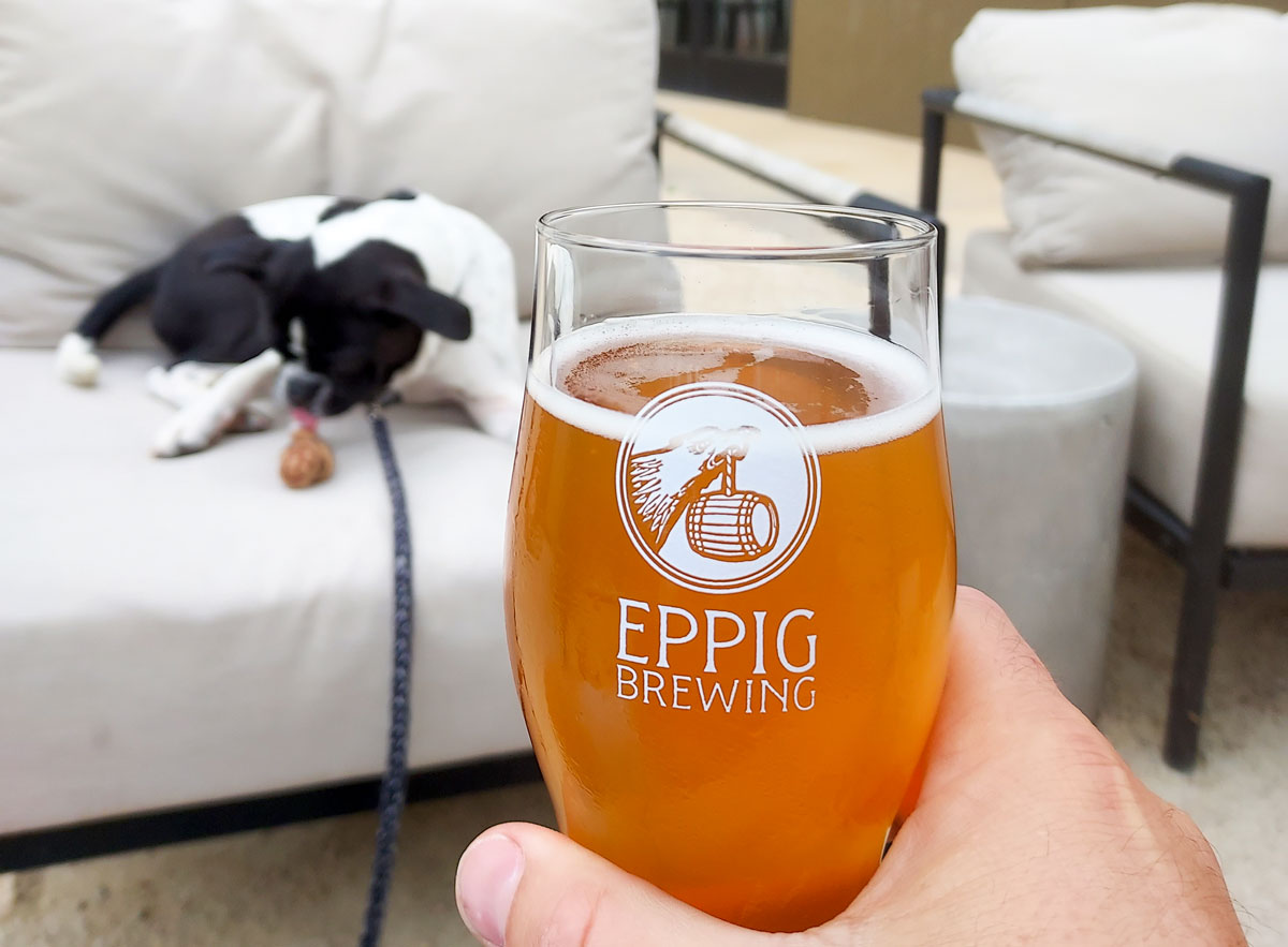 A beer on the patio at Eppig Brewing Co. Photo by Ryan Woldt