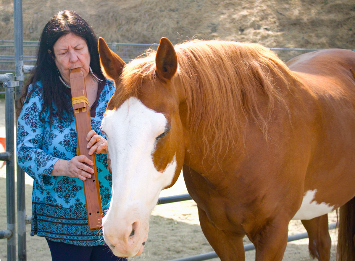 Rescue horse Gino stays close to flutist Maria Kostelas as she plays during a mindfulness and movement event at Laughing Pony Rescue on Aug. 13. Photo by Laura Place