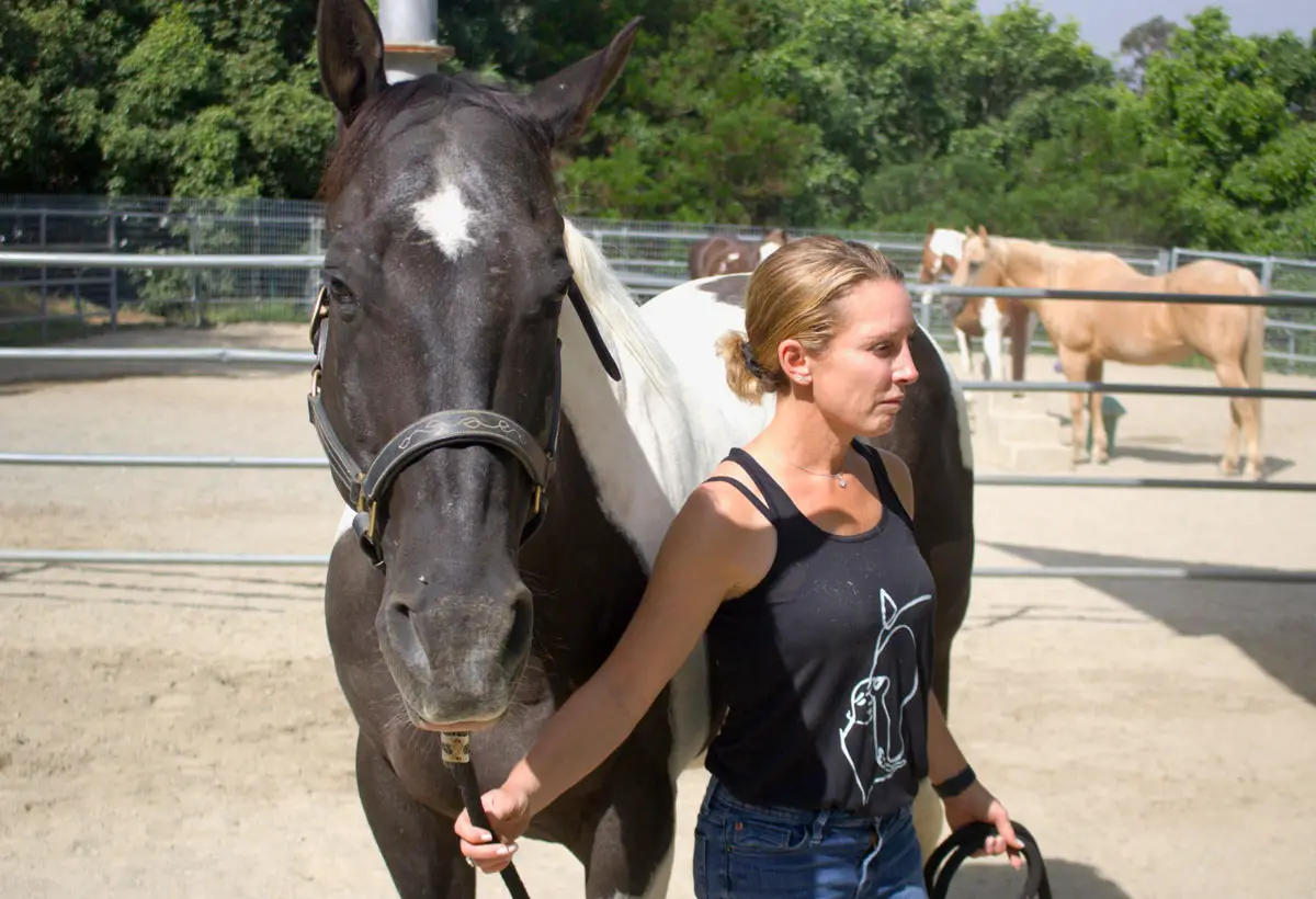 Equine specialist Laura Spielman, pictured Aug. 13 with paint horse Tango, has led mindfulness and movement classes for the past year at Laughing Pony Rescue. Photo by Laura Place