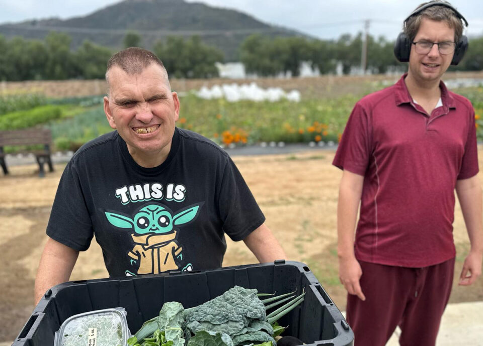 Special needs residents help harvest vegetables for TERI Farms' CSA program.