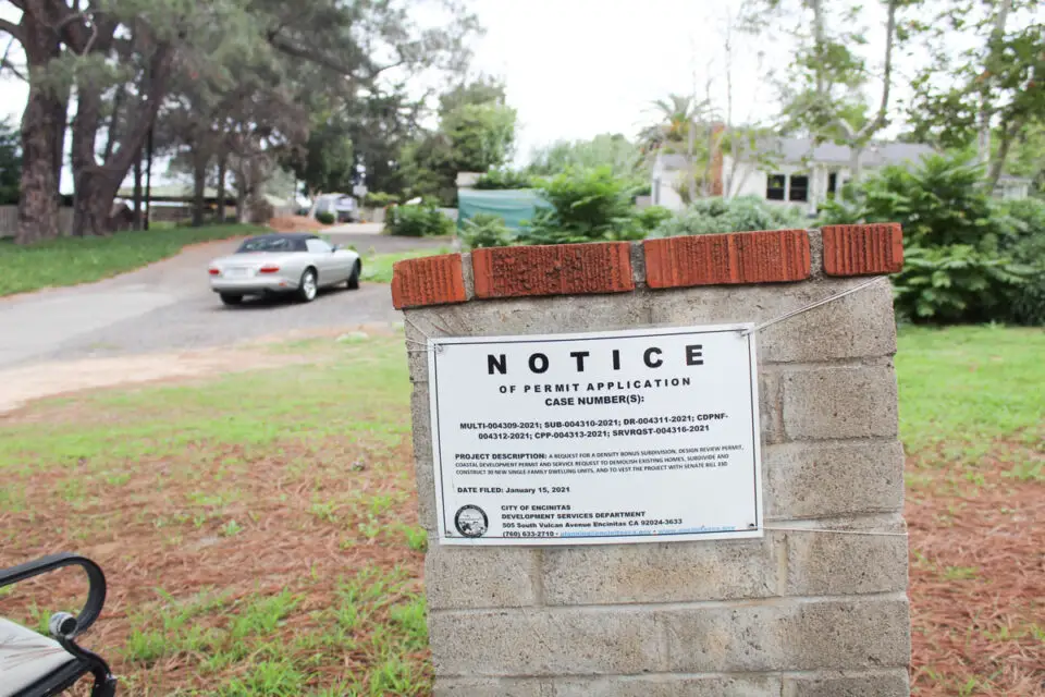 A notice for the Torrey Crest housing development that seeks to remove and replace several Torrey pine trees along Melba Road in Encinitas. Photo by Jordan P. Ingram