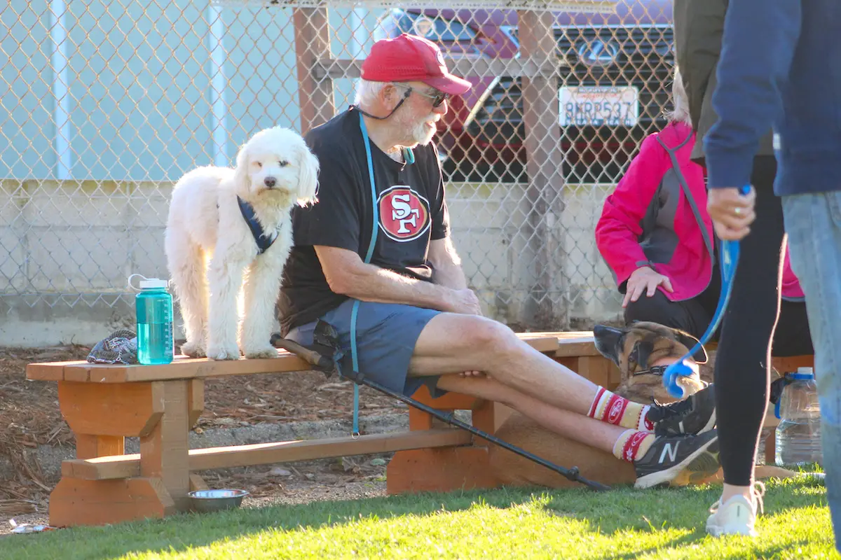 Dog owners take advantage of the off-leash hours at the Shore Park sports field in Del Mar on Tuesday. Photo by Leo Place