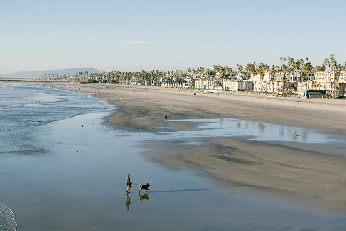 A local group is gathering signatures for a ballot initiative asking voters to decide whether or not to establish a dog-friendly beach in Oceanside. Photo by Sarah32