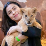 A woman holds a baby lion at Pai Pai Ecotourism Park in Ensenada. Courtesy photo