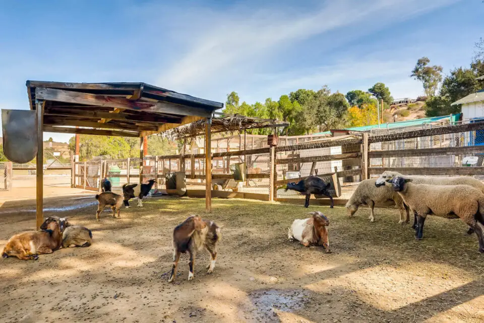 The Nature Center at Green Oak Ranch in Vista. A 110-acre parcel of the ranch is for sale and being pursued by nonprofit Solutions for Change as well as the County of San Diego. Courtesy Green Oak Ranch